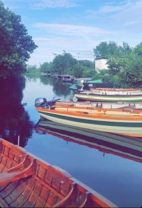 Sweethaven Chalet Killarone Bagian luar foto